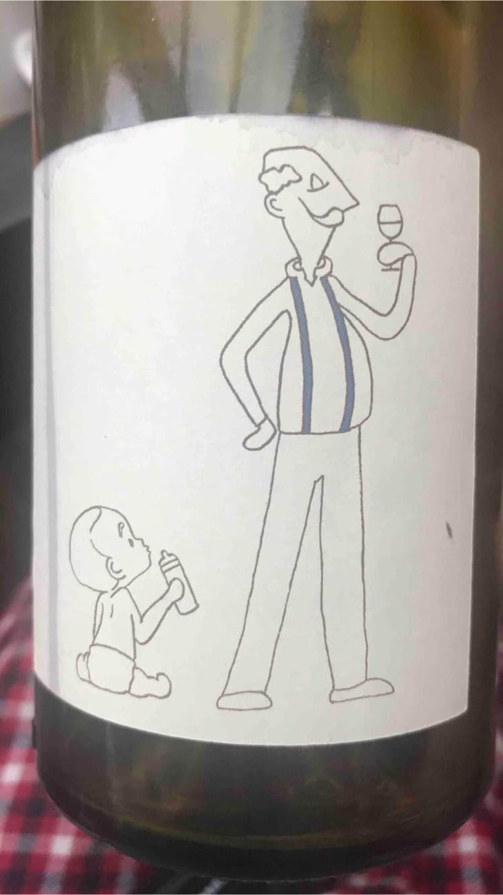 La Cuvée Du Minot (Safres Bleus) - Domaine du Minot - Axel Chambert 