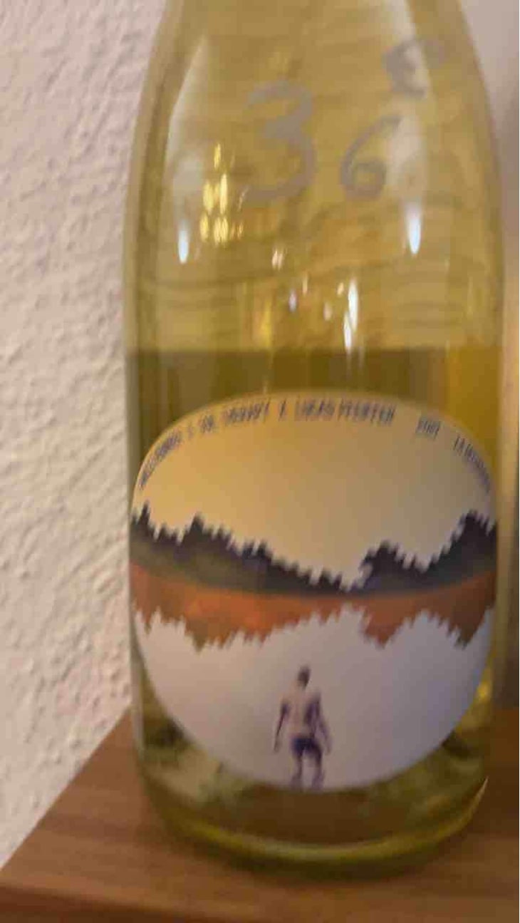 La Découverte - Pet Nat (Famille hebinger x Lucas Pfeiffer) - Soil Therapy - Les Vins du Mardi - Thomas Larmoyer -2020