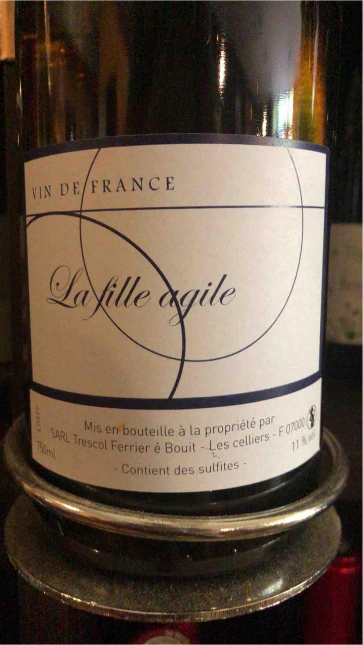 La Fille Agile - Trescol é Bouit - Sandro Trescol & Jonathan Bouit 