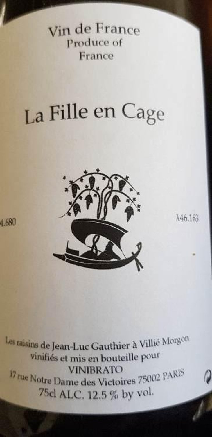 La Fille En Cage (X Vinibrato) - Jean-Marc Brignot / Vinibrato - Jean-Marc Brignot 