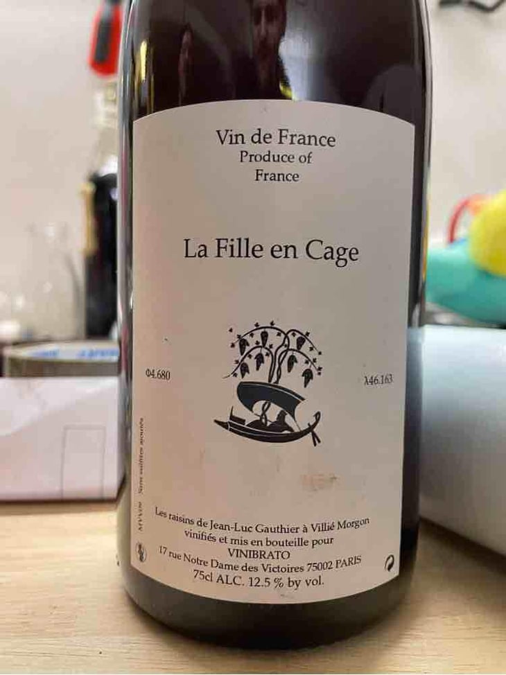 La Fille En Cage (X Vinibrato) - Jean-Marc Brignot / Vinibrato - Jean-Marc Brignot 