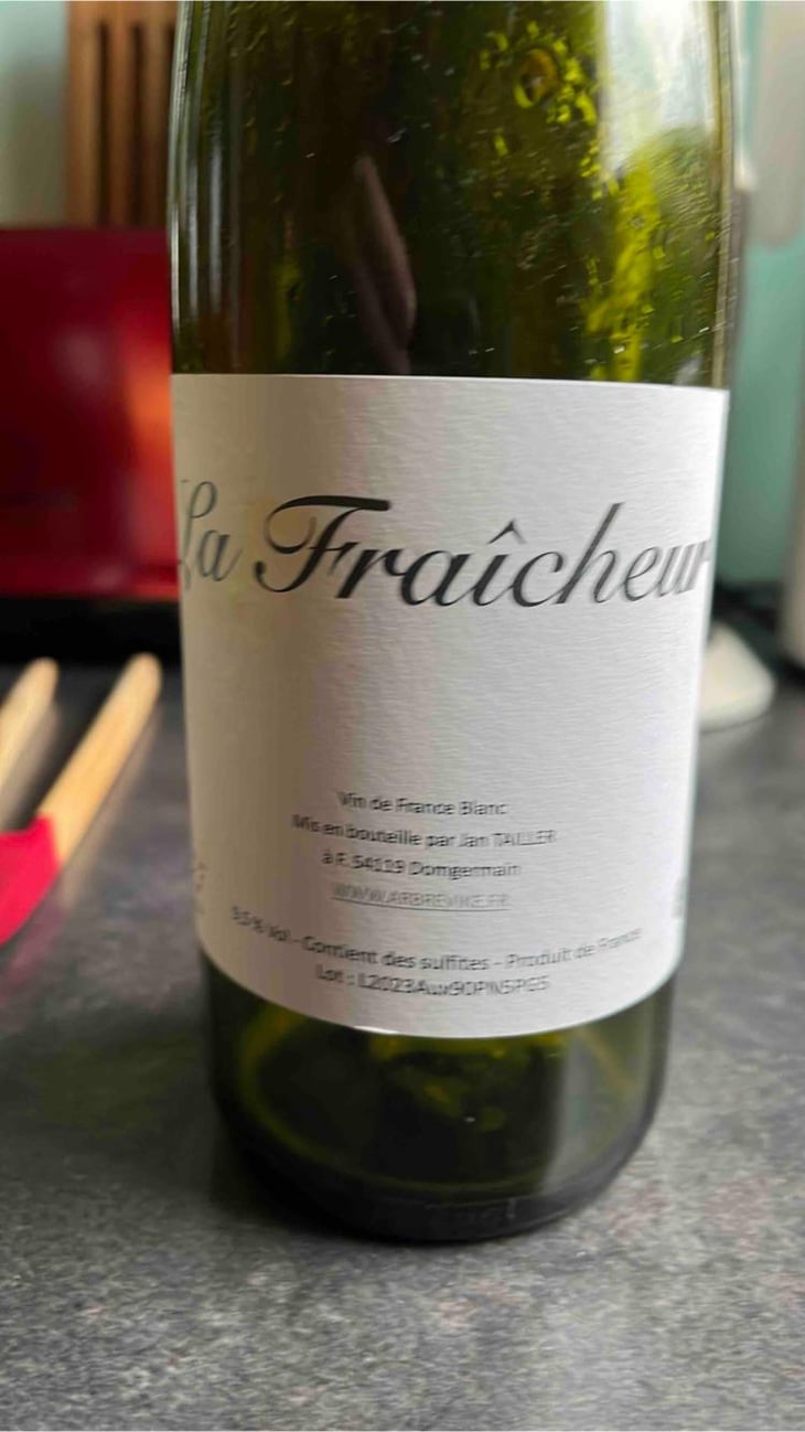 La Fraicheur - L’Arbre Viké - Jan Tailler -2023