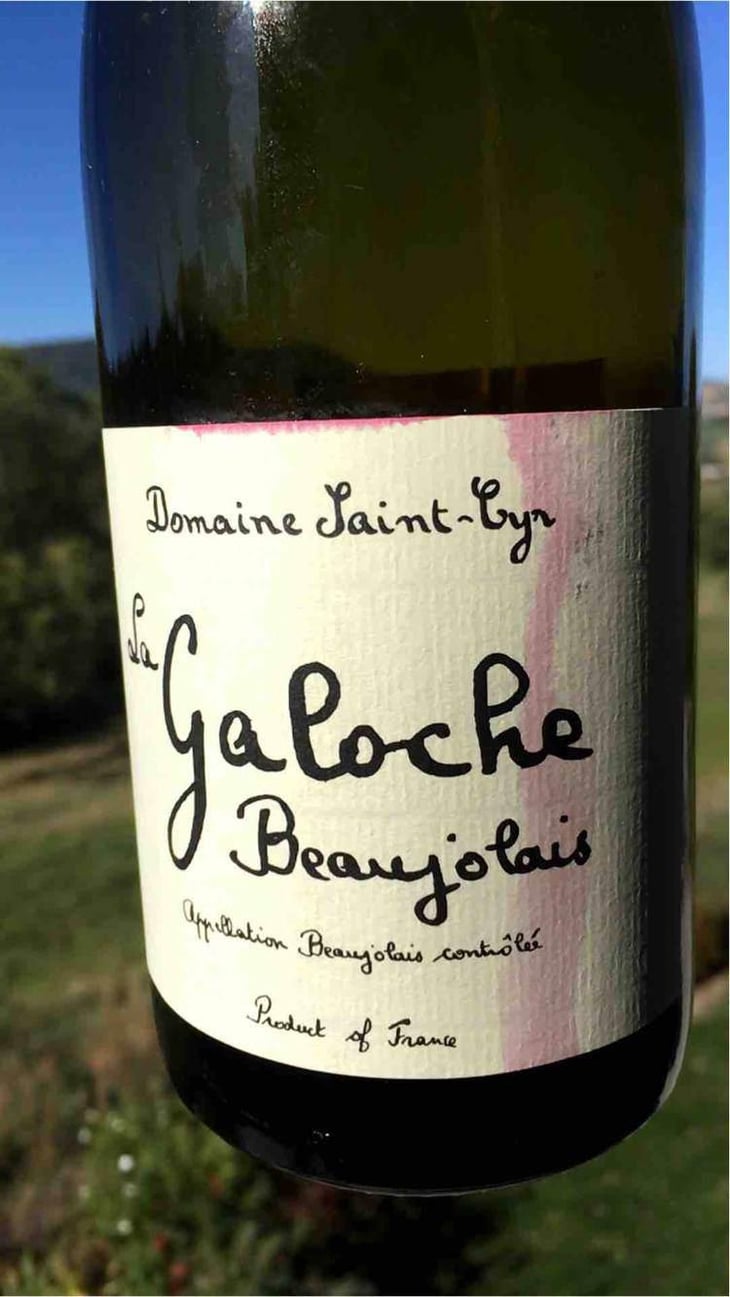 La Galoche Blanche - Domaine Saint-Cyr - Raphaël Saint-Cyr 