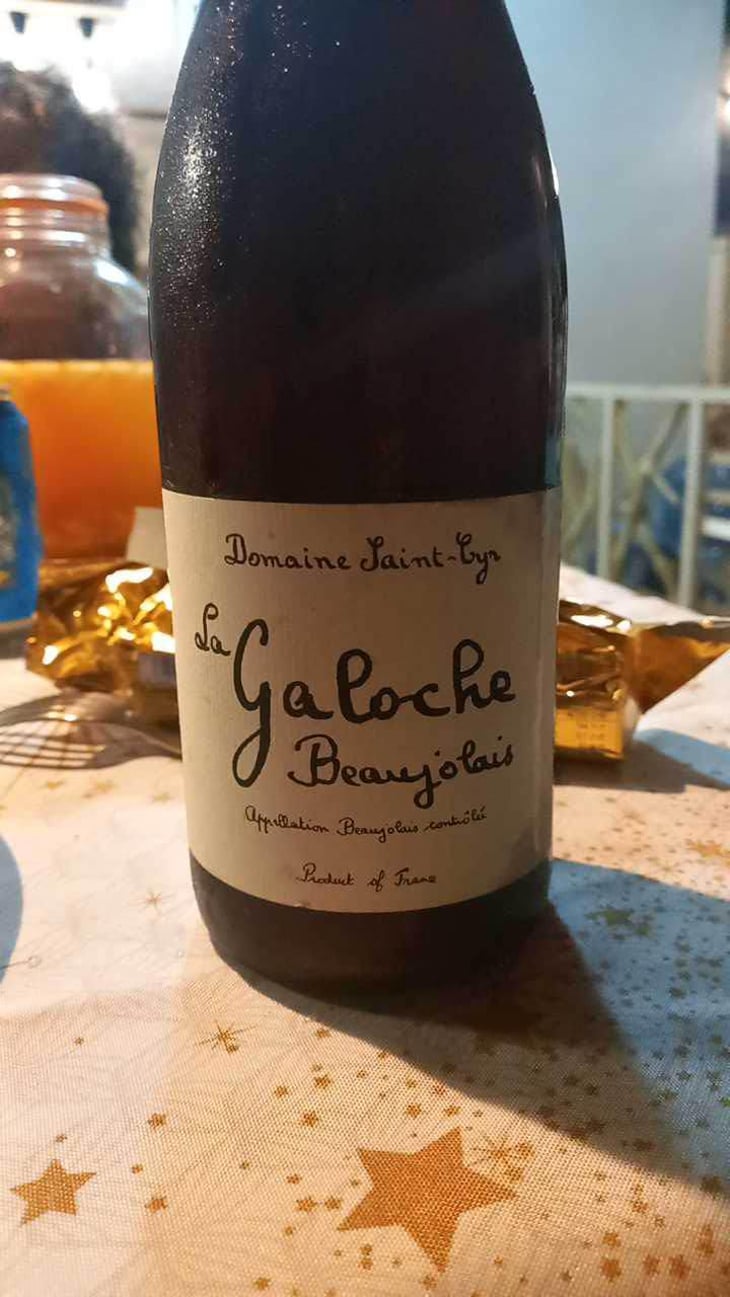 La Galoche Rosé - Domaine Saint-Cyr - Raphaël Saint-Cyr 