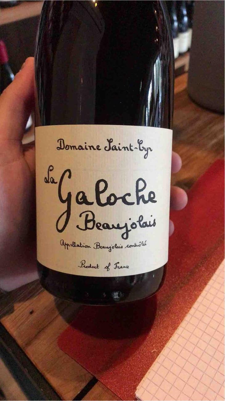 La Galoche Rosé - Domaine Saint-Cyr - Raphaël Saint-Cyr 