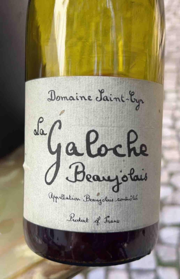 La Galoche Rosé - Domaine Saint-Cyr - Raphaël Saint-Cyr 