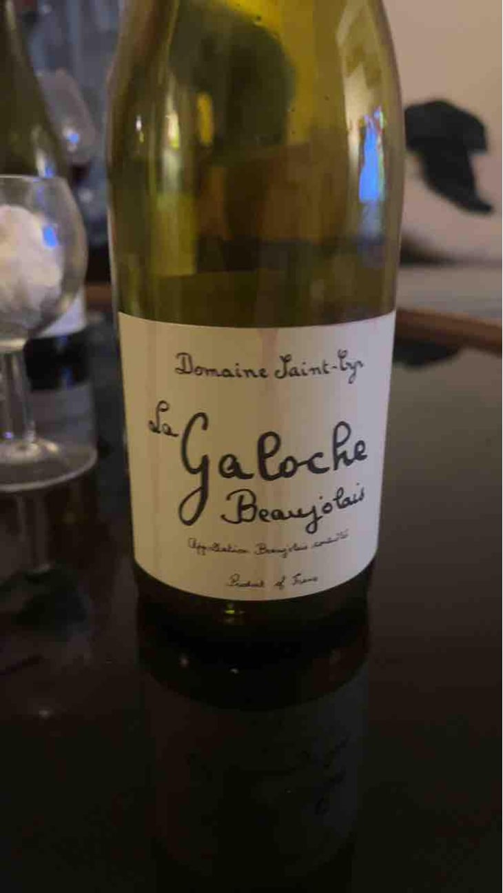 La Galoche Rosé - Domaine Saint-Cyr - Raphaël Saint-Cyr 