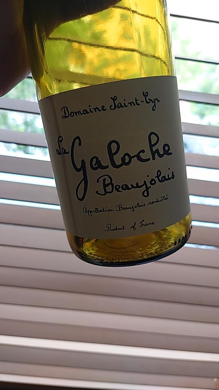 La Galoche Rosé - Domaine Saint-Cyr - Raphaël Saint-Cyr 