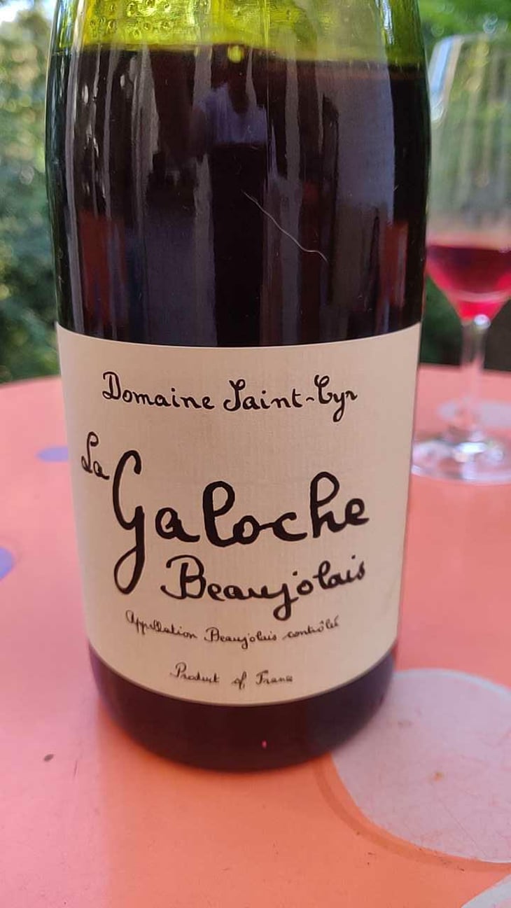 La Galoche Rosé - Domaine Saint-Cyr - Raphaël Saint-Cyr 