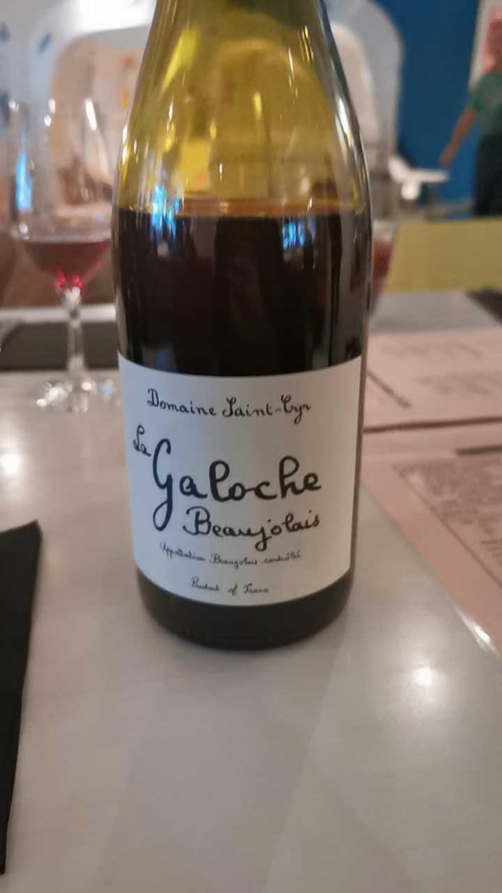 La Galoche Rosé - Domaine Saint-Cyr - Raphaël Saint-Cyr 
