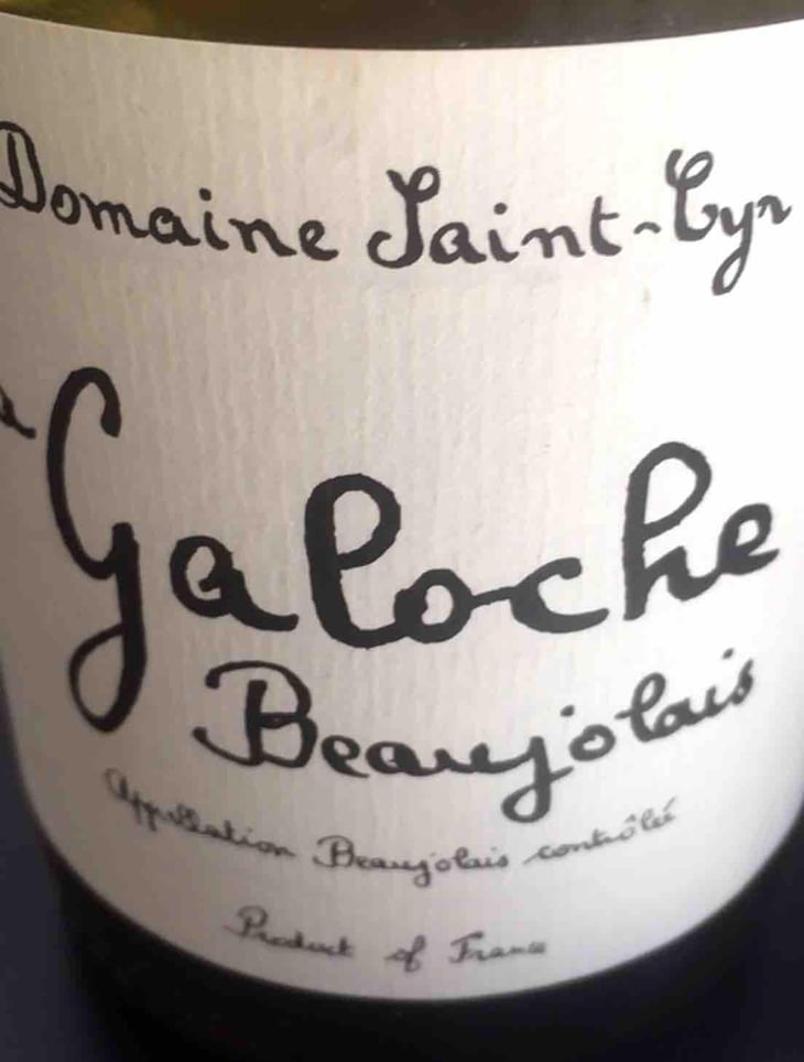 La Galoche Rosé - Domaine Saint-Cyr - Raphaël Saint-Cyr 