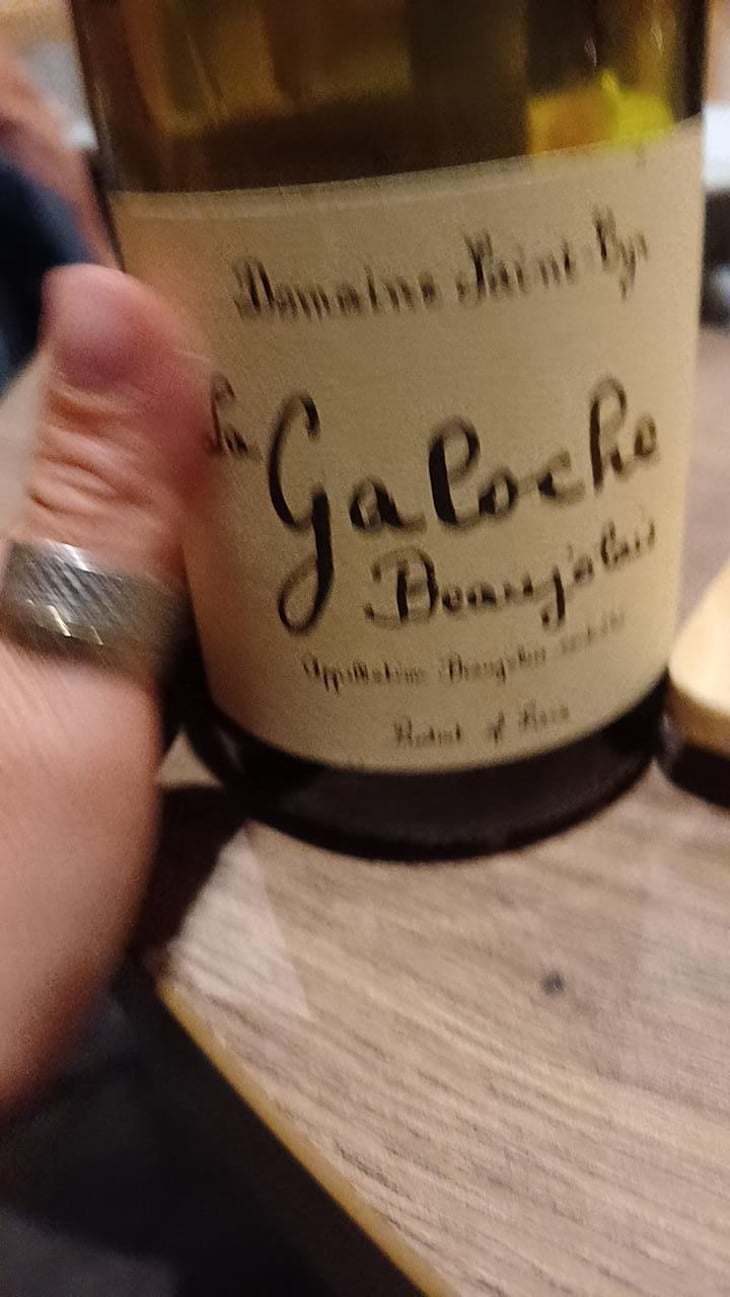 La Galoche Rosé - Domaine Saint-Cyr - Raphaël Saint-Cyr 