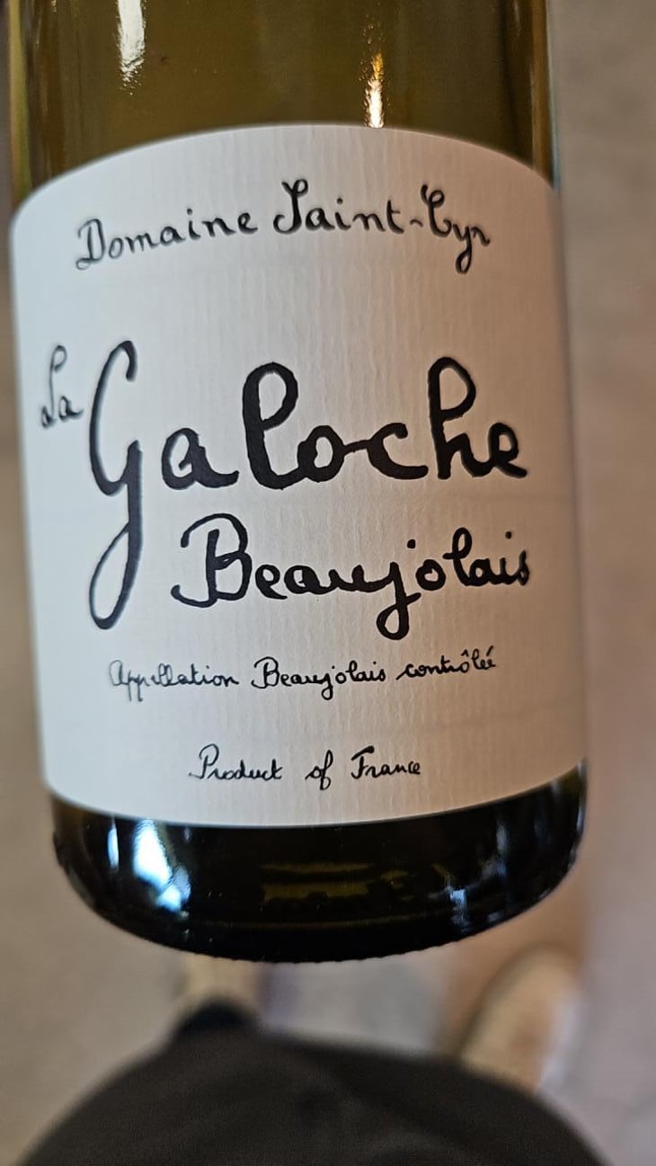 La Galoche Blanche - Domaine Saint-Cyr - Raphaël Saint-Cyr 