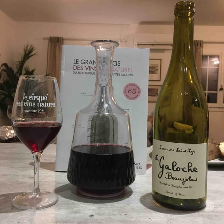 La Galoche Rouge - Domaine Saint-Cyr - Raphaël Saint-Cyr 