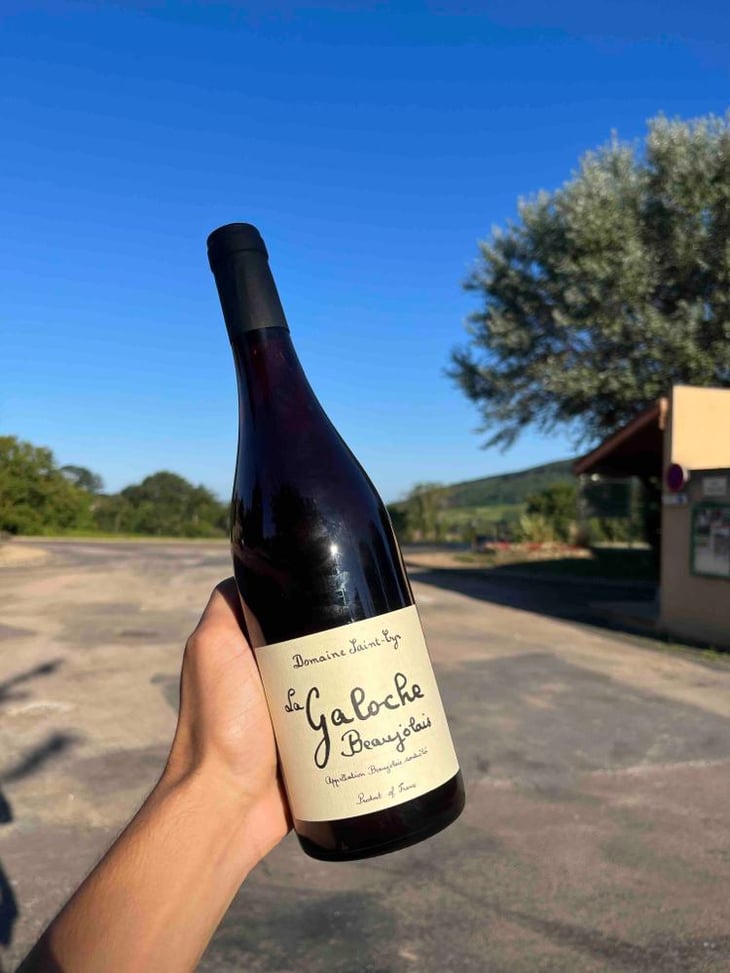 La Galoche Rouge - Domaine Saint-Cyr - Raphaël Saint-Cyr 