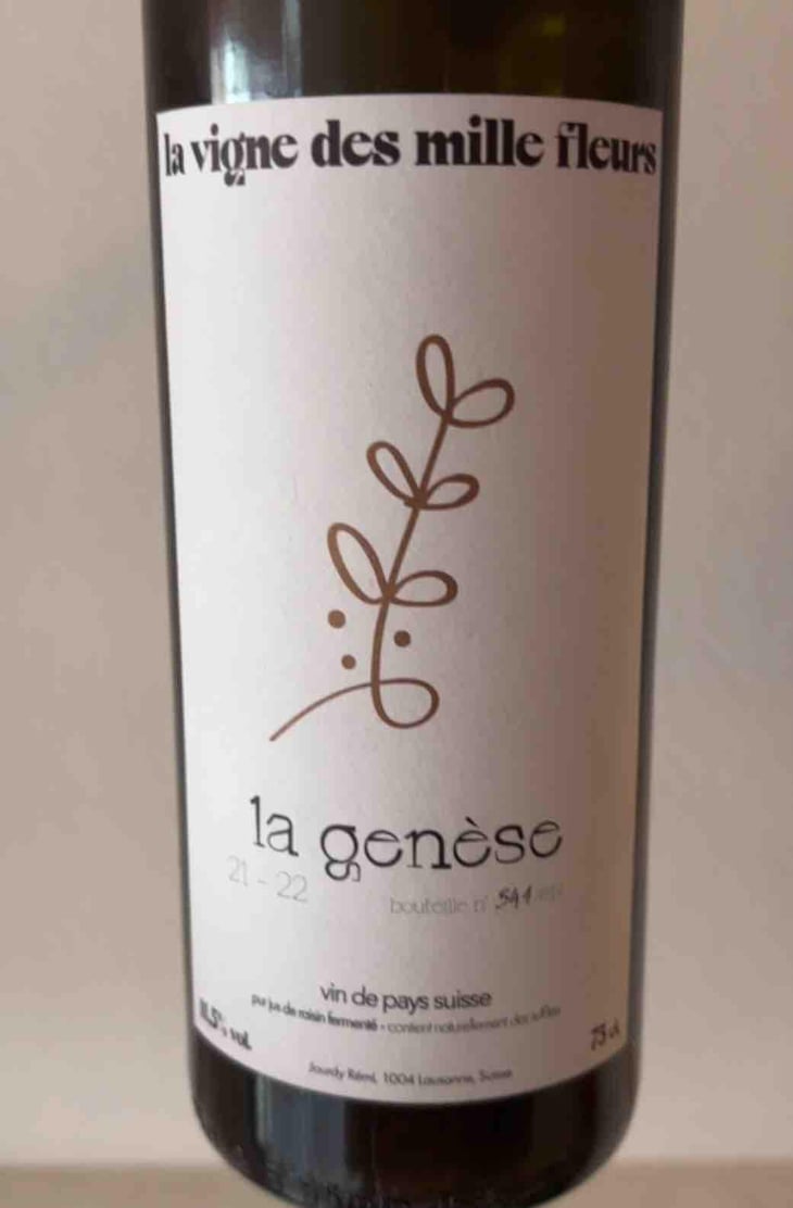 La Genèse - La Vigne des Mille Fleurs - Rémi Jourdy 