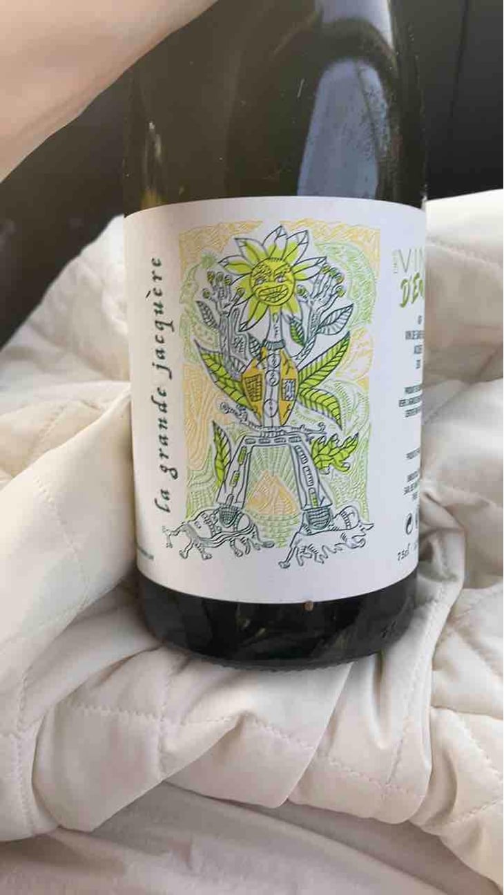 La Grande Jacquère - Des Vins D’Envie - Guillaume Lavie & Maxime Dancoine 