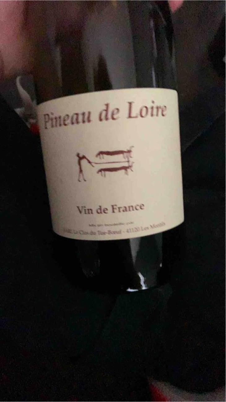 La Guerrerie - Clos du Tue-Bœuf - Zoé, Louise & Thierry Puzelat 