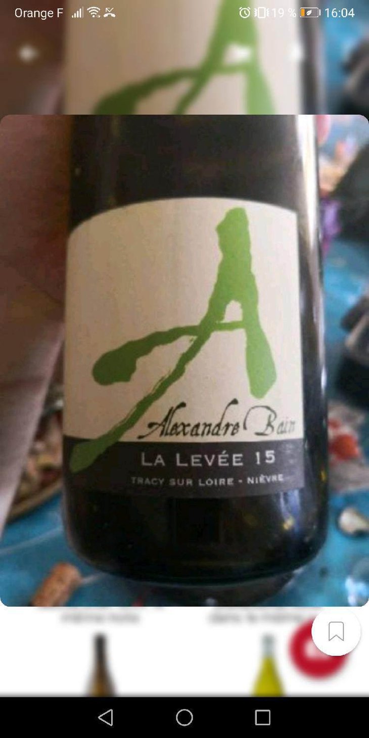 La Levée - Domaine Alexandre Bain - Alexandre Bain 