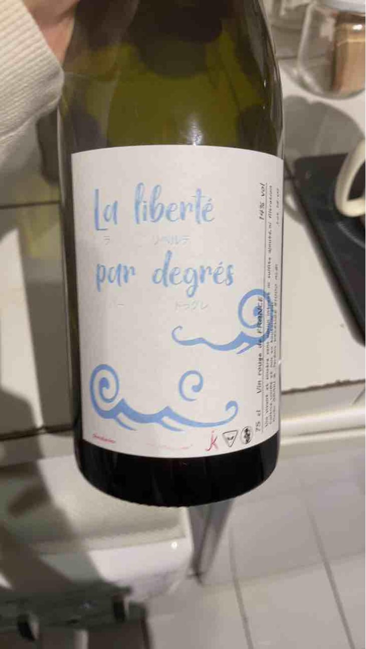 La Liberté Par Degrés - Keiko & jérôme - Keiko Araki et Jérôme Deleuze -2018