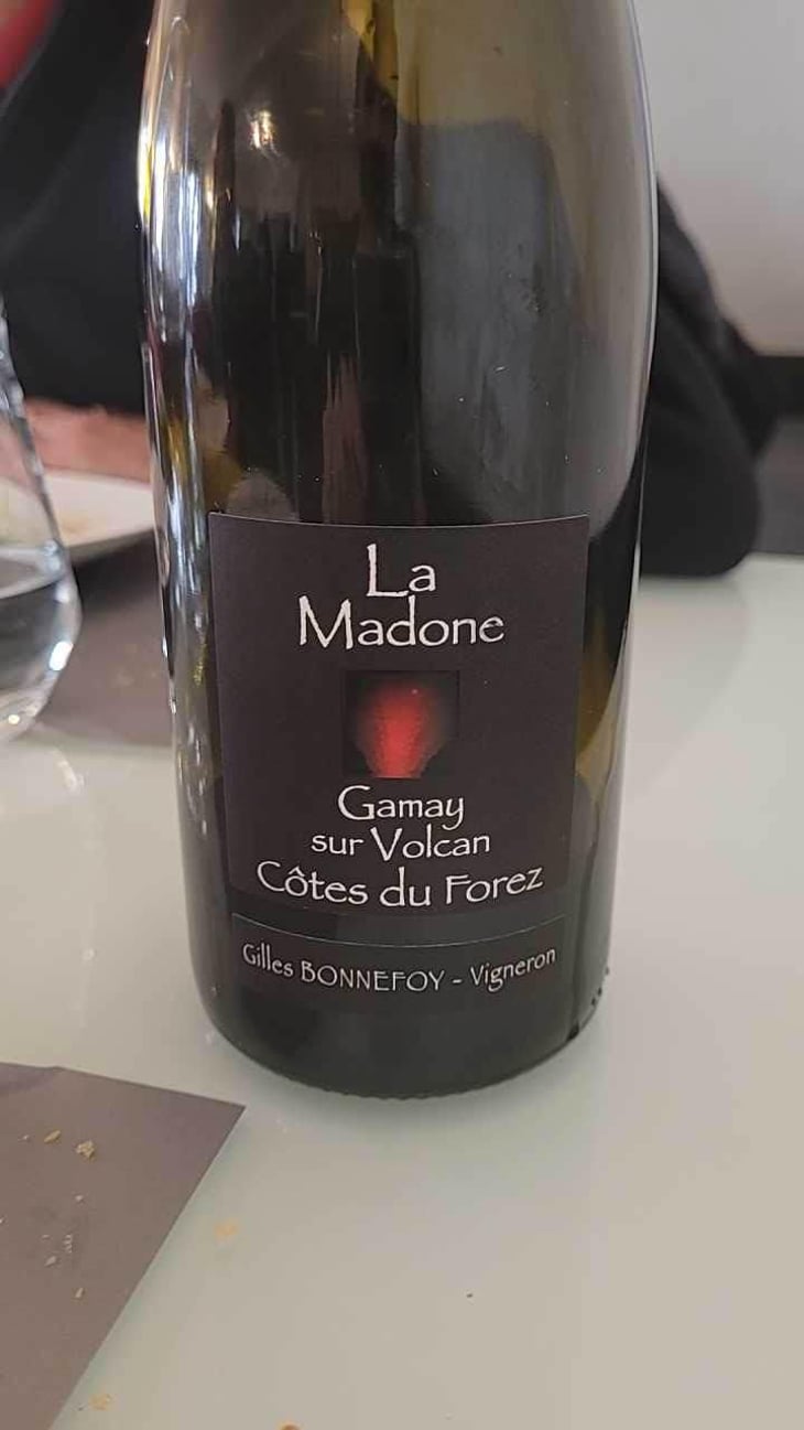 La Madone - Vins de la Madone - Gilles Bonnefoy 
