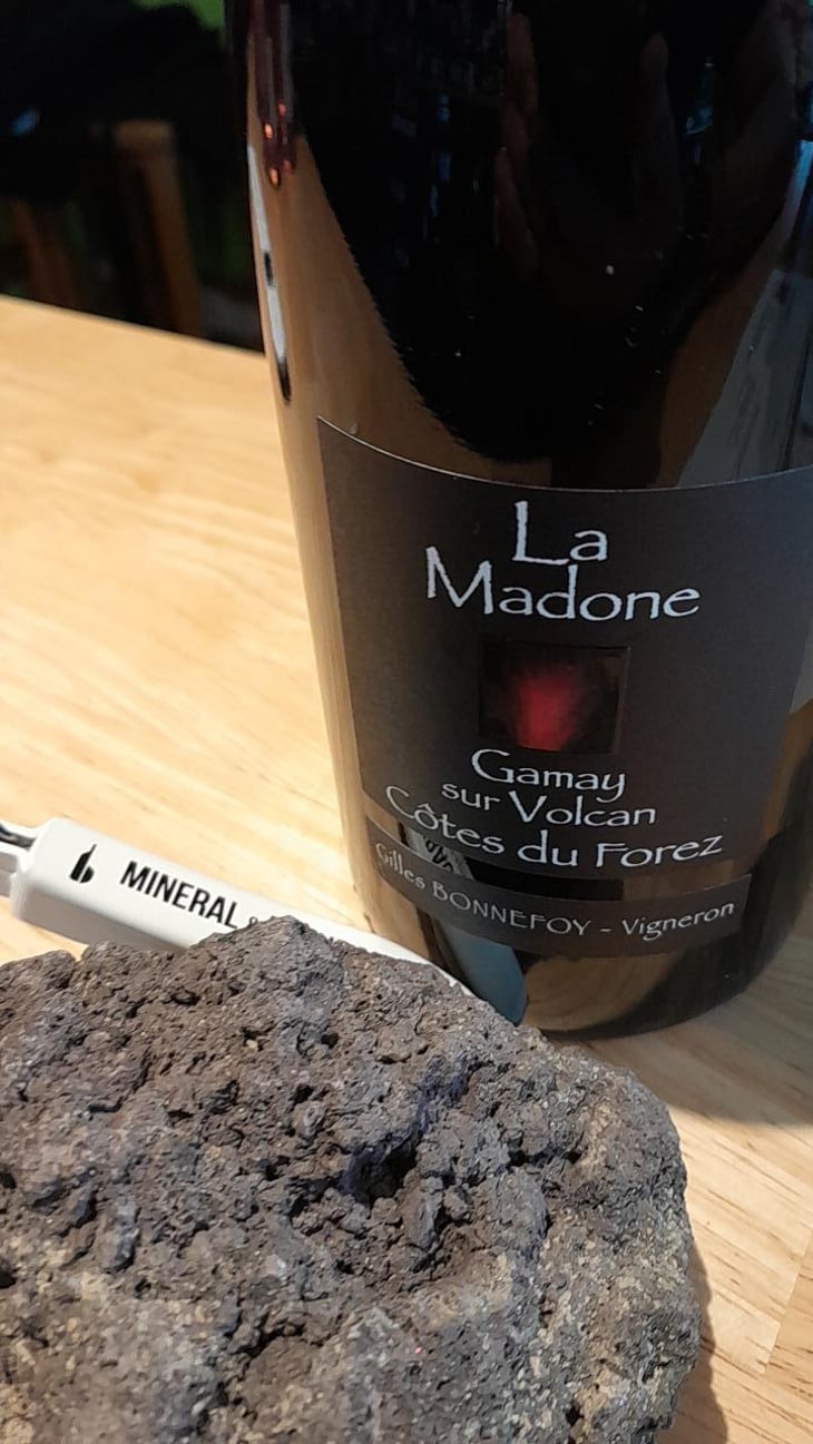 La Madone - Vins de la Madone - Gilles Bonnefoy 