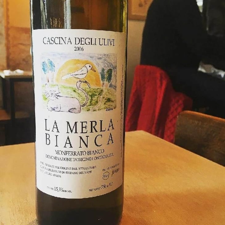 La Merla Bianca - Cascina degli Ulivi - Ilaria Bellotti 