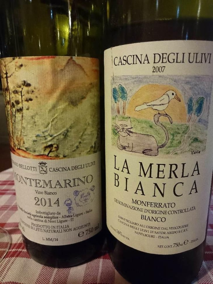 La Merla Bianca - Cascina degli Ulivi - Ilaria Bellotti 