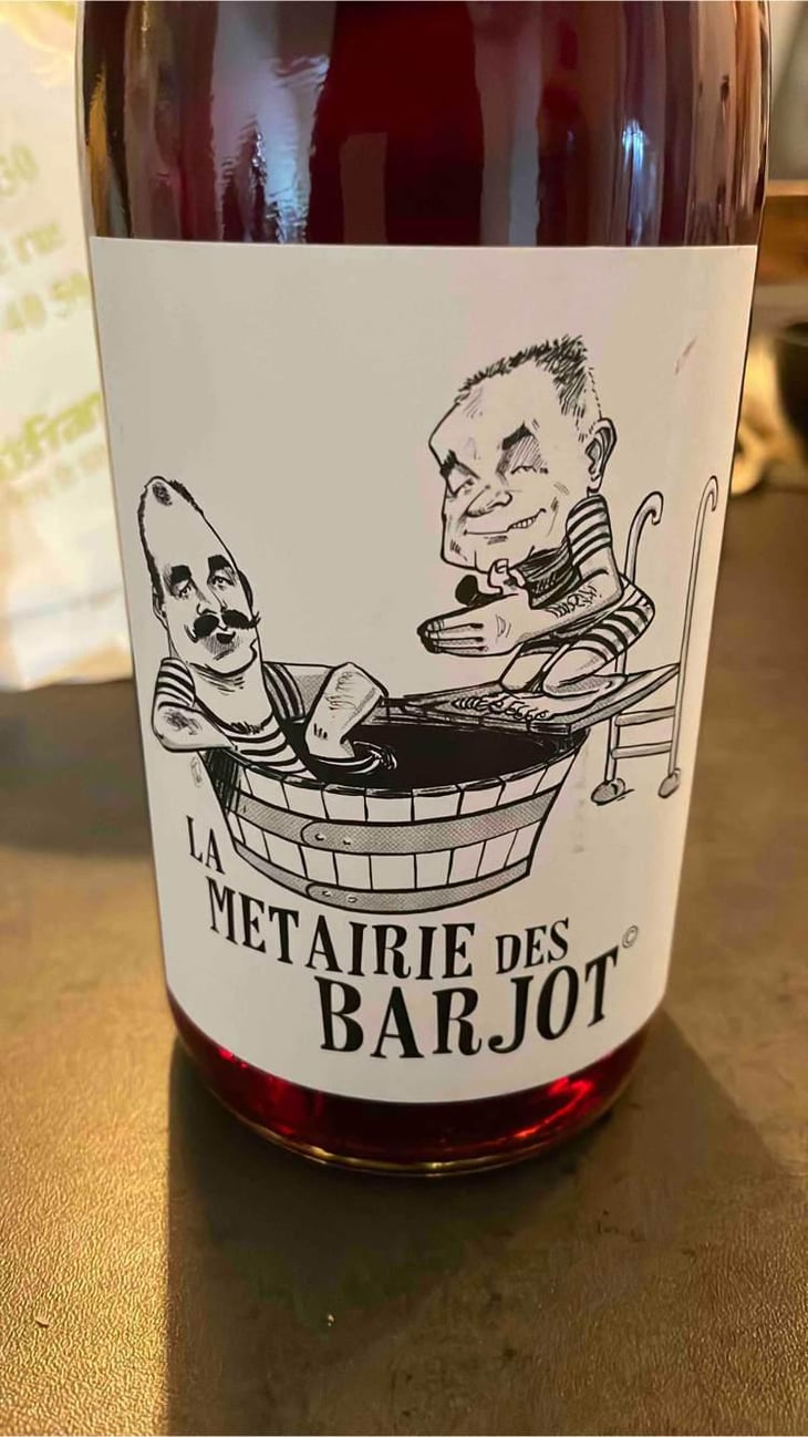 La Metairie Des Barjots - Domaine De La Marinière - Renaud & Boris Désbourdes -2021
