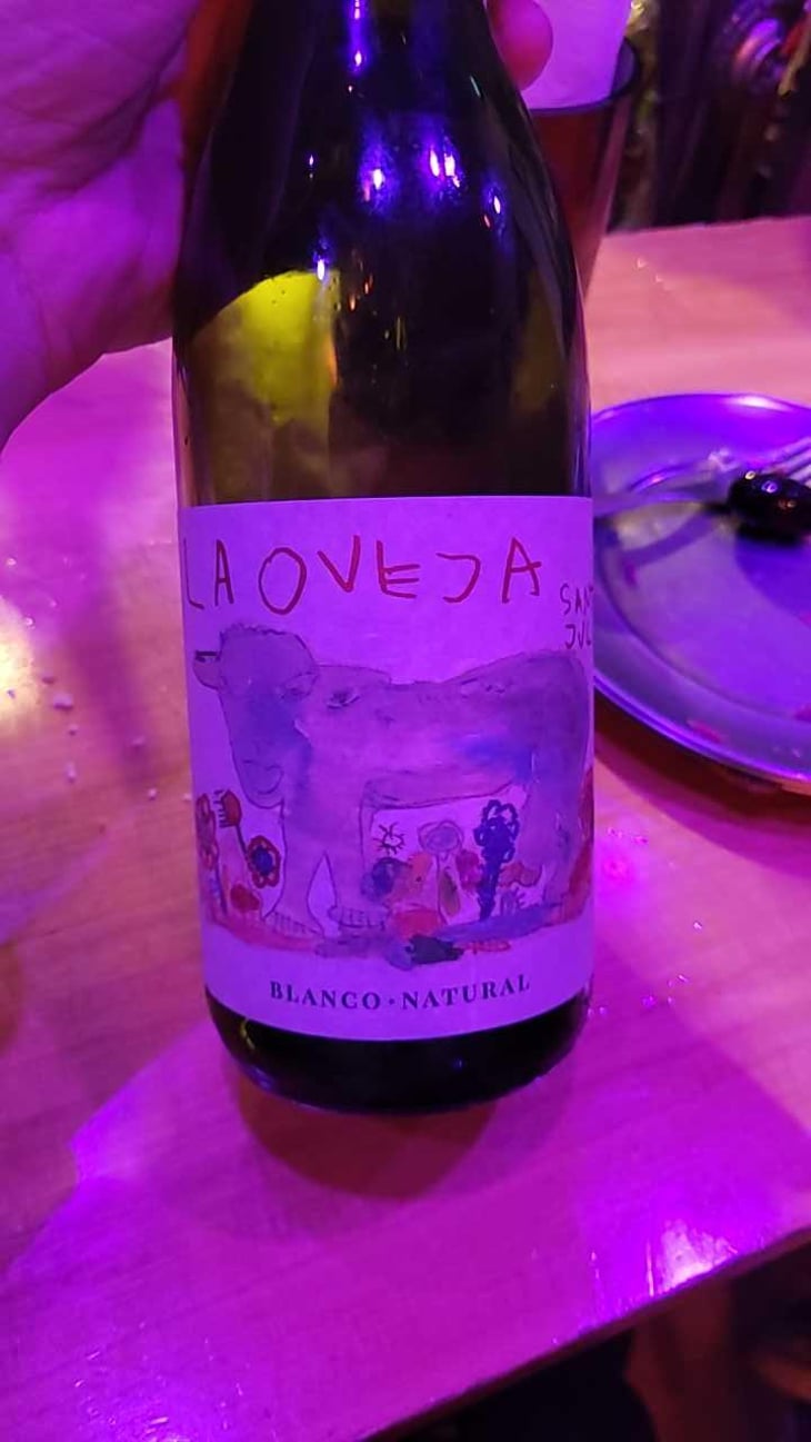 La Oveja Santa Julia 2021 - Bodega Santa Julia - Ruben Ruffo & Edgardo Consoli 