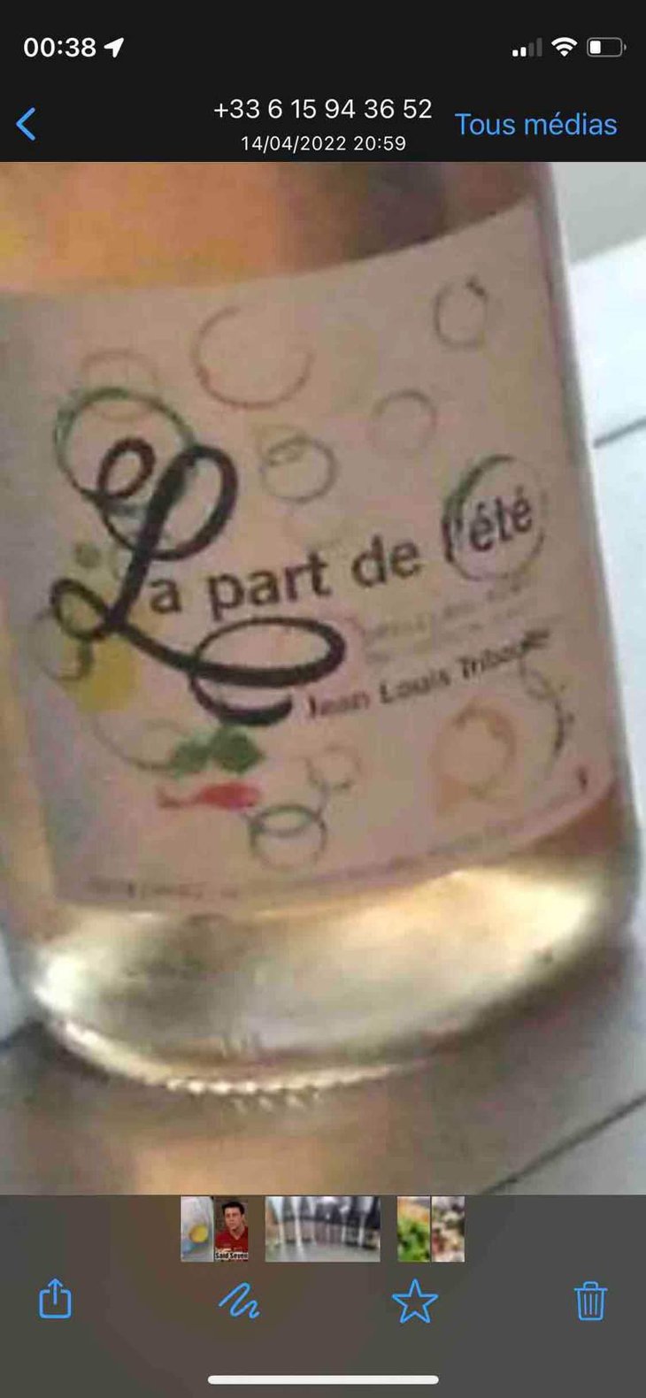 La Part de l'Été - Tribouley - Jean-Louis Tribouley 