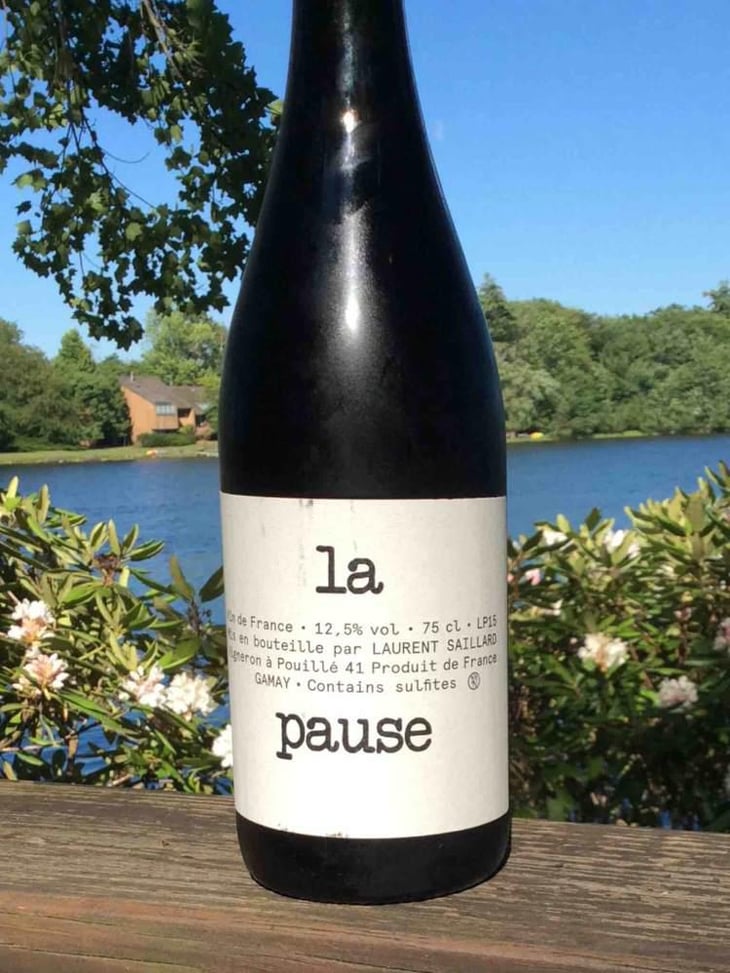 La Pause - Laurent Saillard - Laurent Saillard 