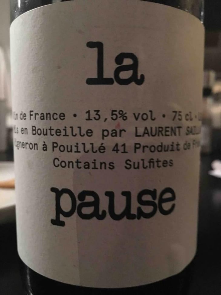 La Pause - Laurent Saillard - Laurent Saillard 