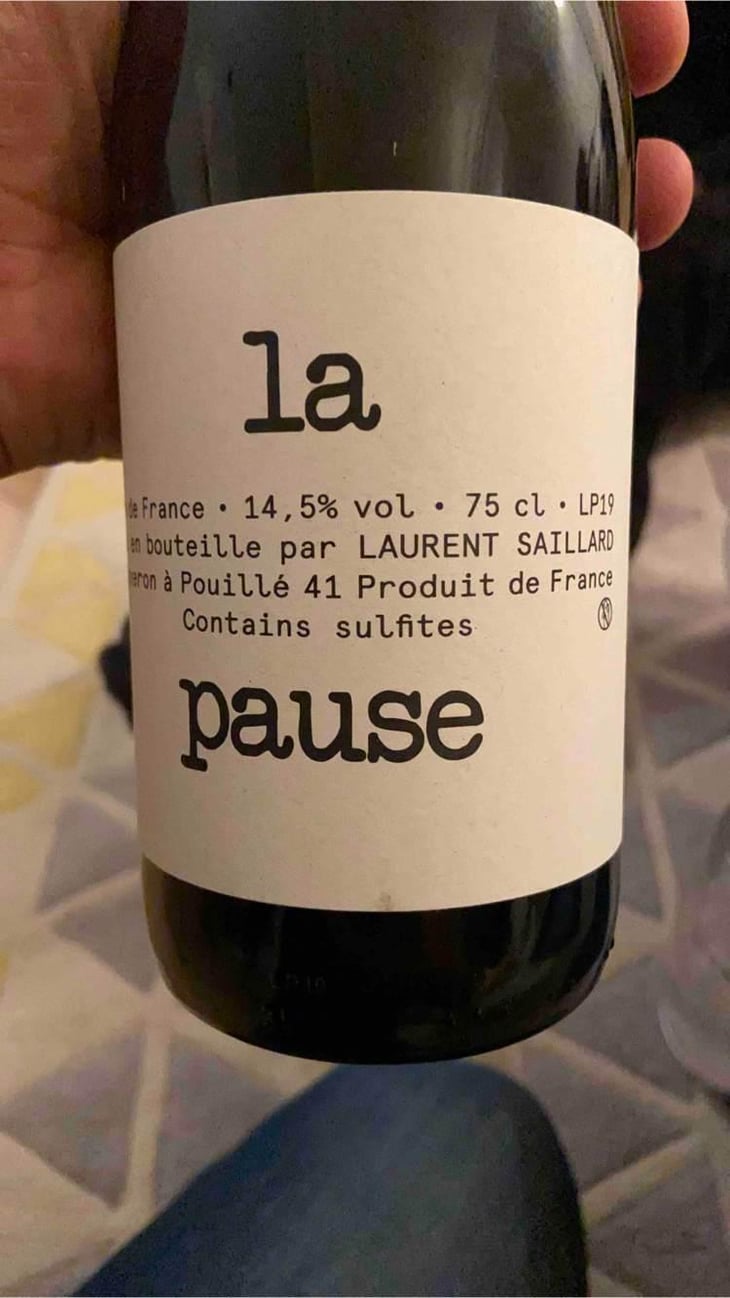 La Pause - Laurent Saillard - Laurent Saillard 