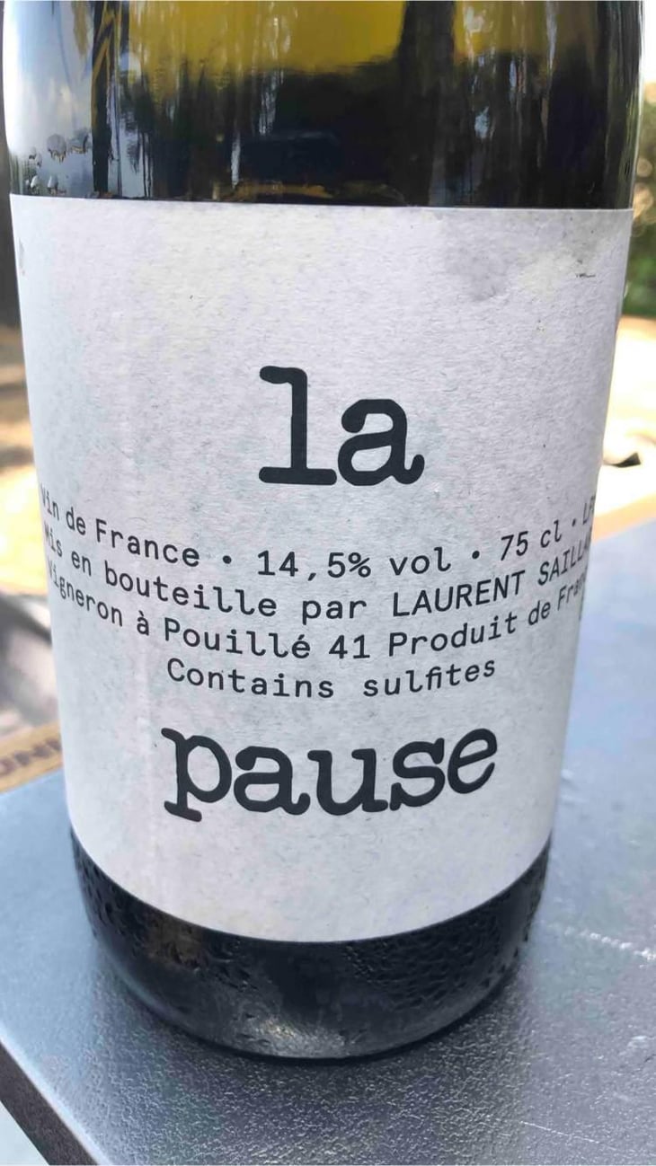 La Pause - Laurent Saillard - Laurent Saillard 