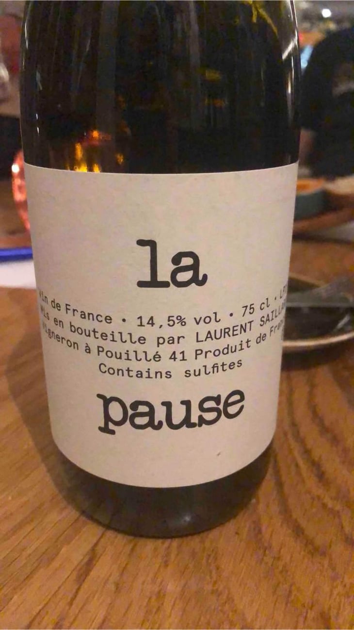 La Pause - Laurent Saillard - Laurent Saillard 
