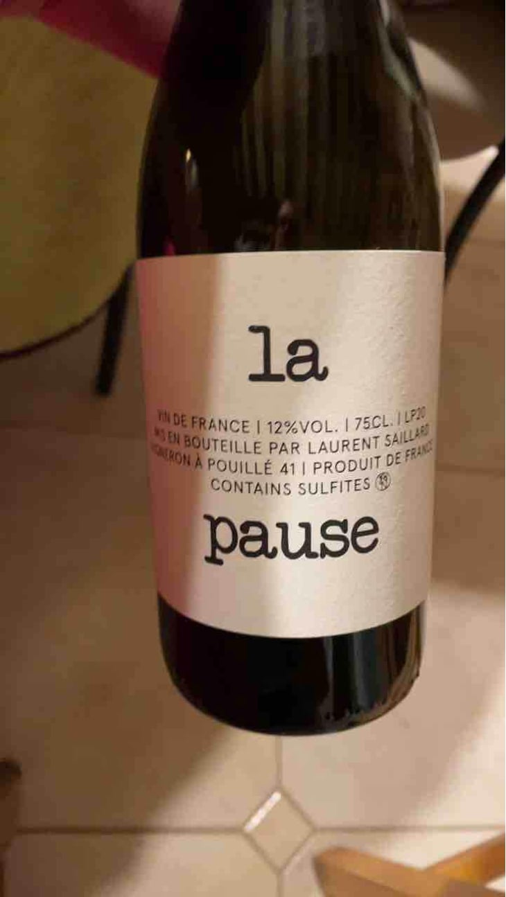 La Pause - Laurent Saillard - Laurent Saillard 