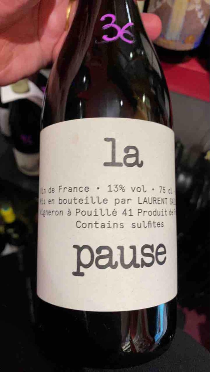 La Pause - Laurent Saillard - Laurent Saillard 