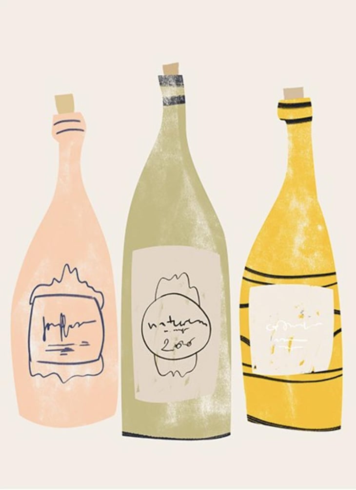 Vouvray "La Peau de L'Ours" - Domaine De La Marinière - Renaud & Boris Désbourdes -2022