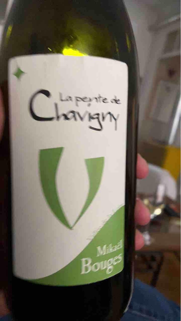 La Pente de Chavigny - Mikaël Bouges - Mikaël Bouges 