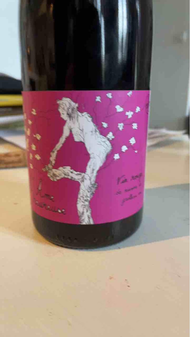 La Pépée - Vignes De L'Atrie (CLOSED) - Elise Hamant (CLOSED) 