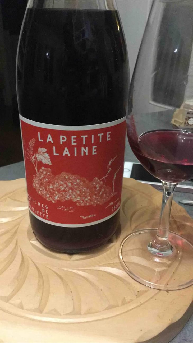 La Petite Laine - Les Vignes de Paulette - Clara Cauquil et Simon Mialon -2022