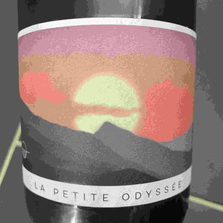 La Petite Odyssée Pétillant Naturel - La Petite Odyssée - Antoine Bernardin 