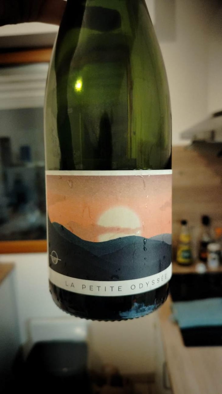 La Petite Odyssée Pétillant Naturel - La Petite Odyssée - Antoine Bernardin 