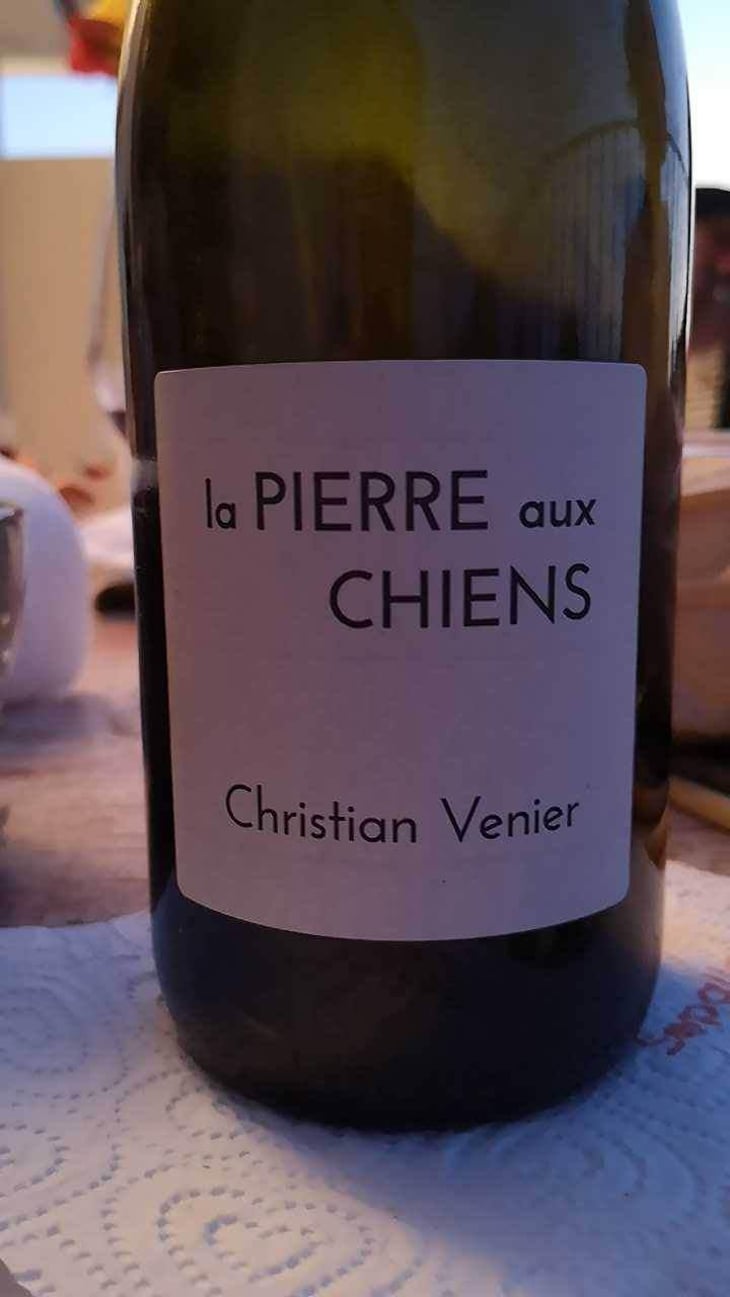 La Pierre aux Chiens - Christian Venier - Christian Venier 