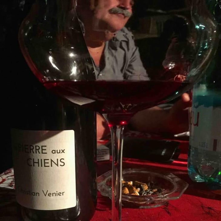 La Pierre aux Chiens - Christian Venier - Christian Venier 