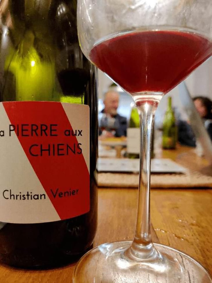 La Pierre aux Chiens - Christian Venier - Christian Venier 