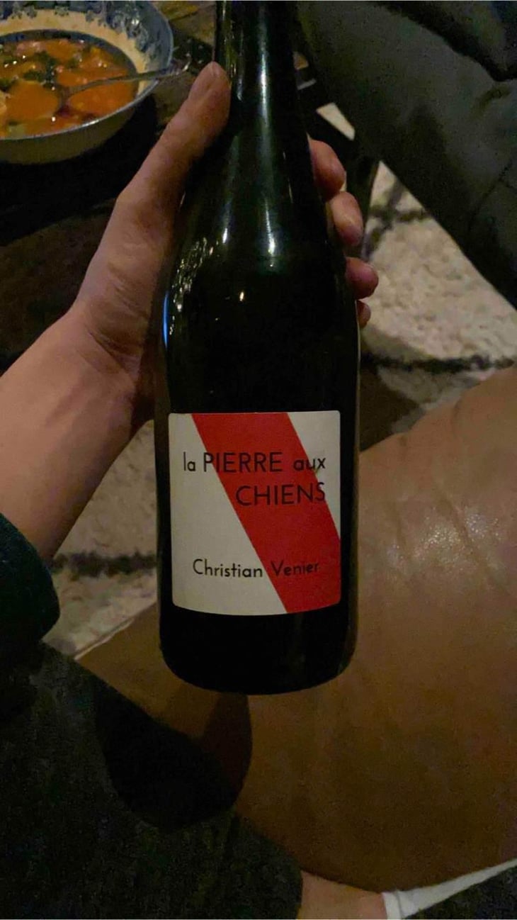 La Pierre aux Chiens - Christian Venier - Christian Venier 