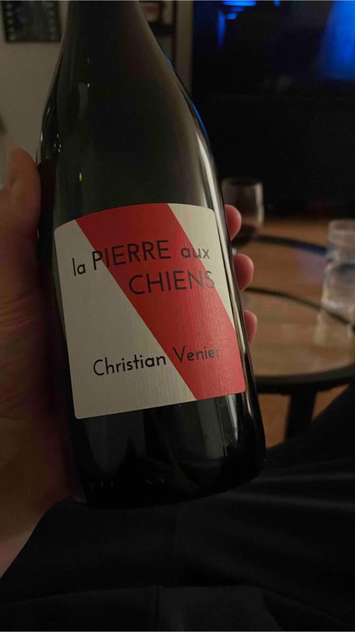 La Pierre aux Chiens - Christian Venier - Christian Venier 