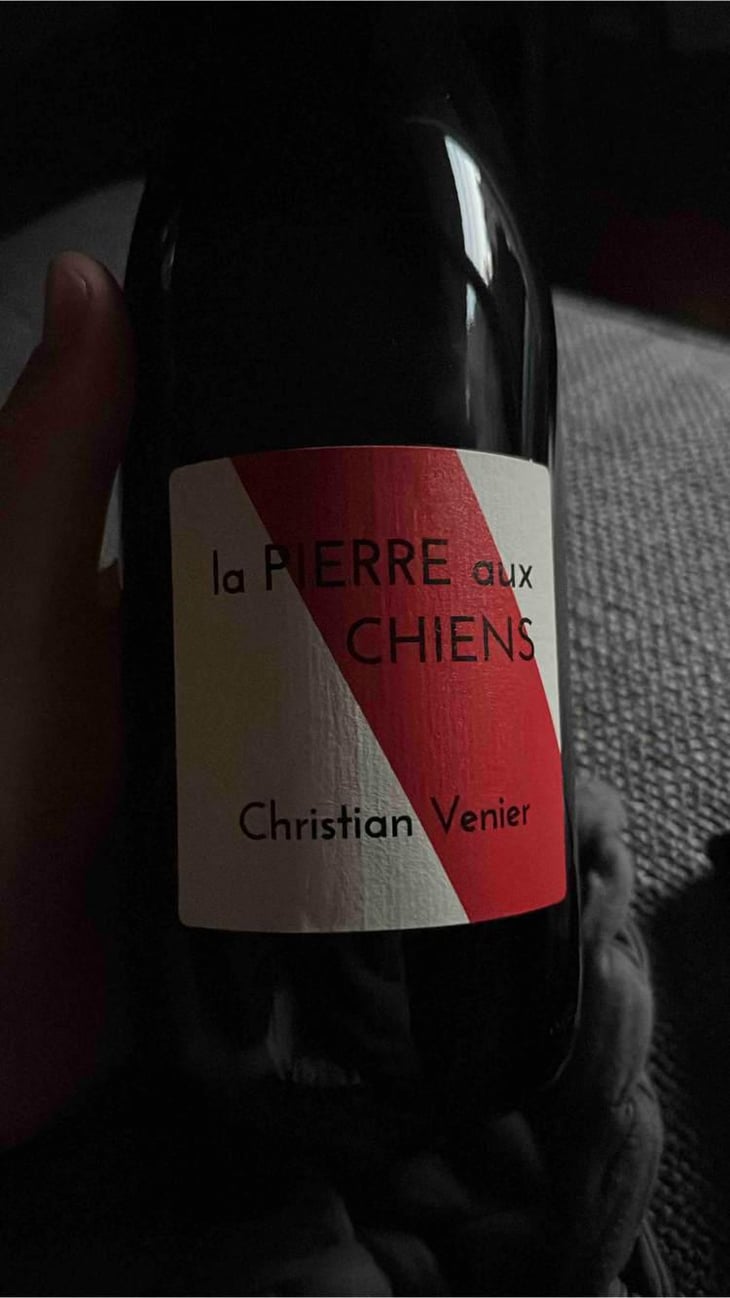 La Pierre aux Chiens - Christian Venier - Christian Venier 